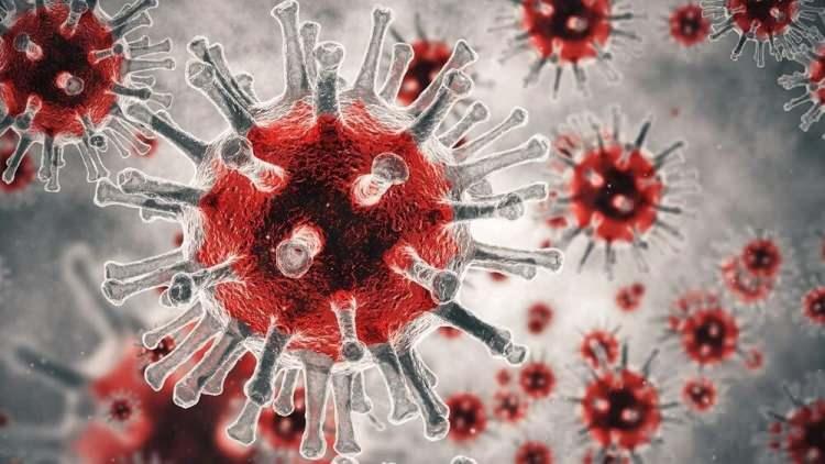 <p>Bilim insanları Çin'in kuzeydoğusunda vaka sayıları artan Langya henipavirus (LayV) adlı yeni bir virüs tanımladı. Virüsün insanlarda ateş, yorgunluk, öksürük, iştahsızlık ve kas ağrıları gibi semptomlara neden olduğu açıklandı. Virüsün kaynağının fareler olduğu sanılıyor.</p>
