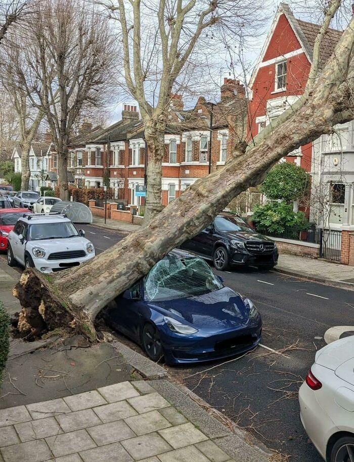 <p>Ağaç altında kalan bi Tesla.</p>
