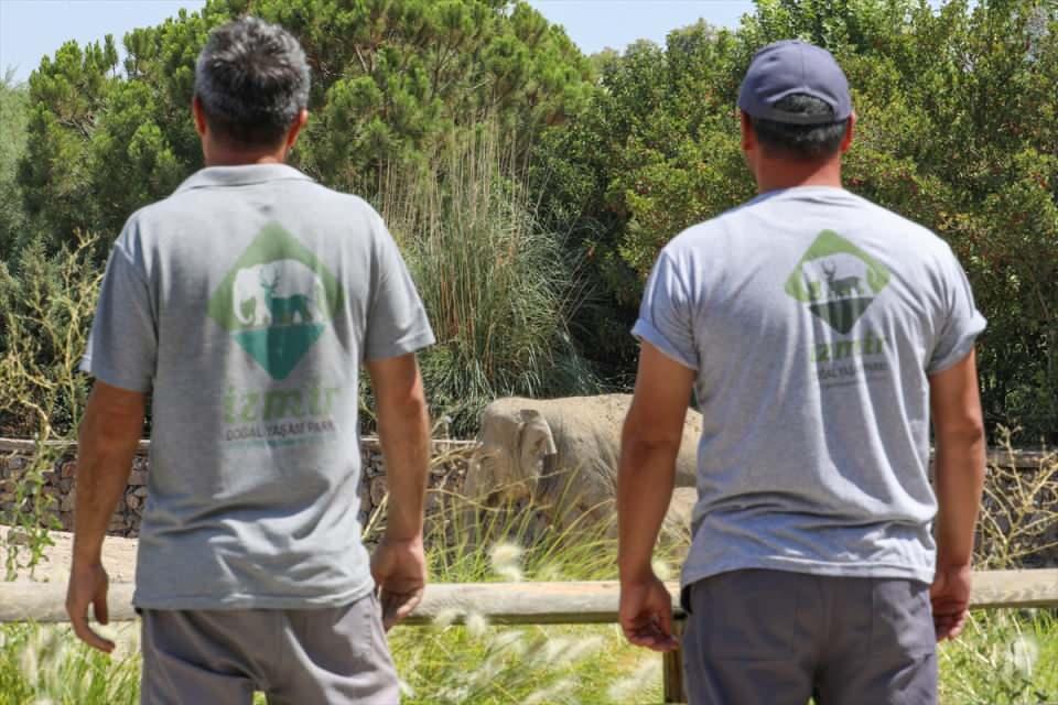 <p>Kültürpark Fuar Alanı'ndaki İzmir Hayvanat Bahçesi'nde 200 metrekarelik alanda uzun yıllar yaşamını sürdüren Pak Bahadur, İzmir Enternasyonal Fuarı'nın simgelerinden biri oldu. Pak Bahadur'un daha geniş ve doğasına uygun bir alana taşınması için İzmir'de imza kampanyaları düzenlendi.</p>

<p> </p>
