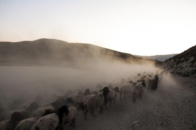 <p>Günün sadece belli saatlerinde yaşanan sahneleri fotoğraflamak isteyen Bitlis Gazeteciler Cemiyeti (BİGACEM) Fotoğraf Kulübü üyesi fotoğrafçılar ise saatler süren bekleyişlerini bir birinden güzel ve özel karelerle ölümsüzleştirmiş oldu.</p>
<p> </p>
