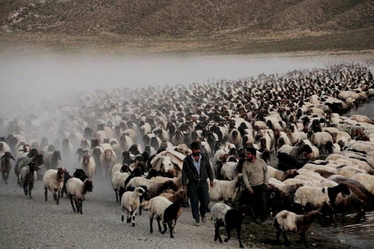 <p>Daha öncesinde aynı sahnelerin yaşandığı Van Gölü kıyısında bulunan Kıyıdüzü köyünde benzer çekimler gerçekleştirdiklerini belirten BİGACEM Genel Sekreteri Hakan Okay, Nemrut Kalderasının içinde ilk defa çekim yapma imkanı bulduklarını söyledi. </p>

<p> </p>
