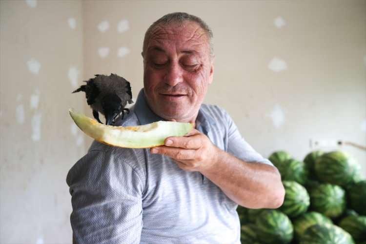 <p>Manav Tekin Talşık, AA muhabirine, yaralı buldukları kargayı kuş meraklısı olan oğluyla kargaya bakmaya başladıklarını belirtti.</p>
<p> </p>