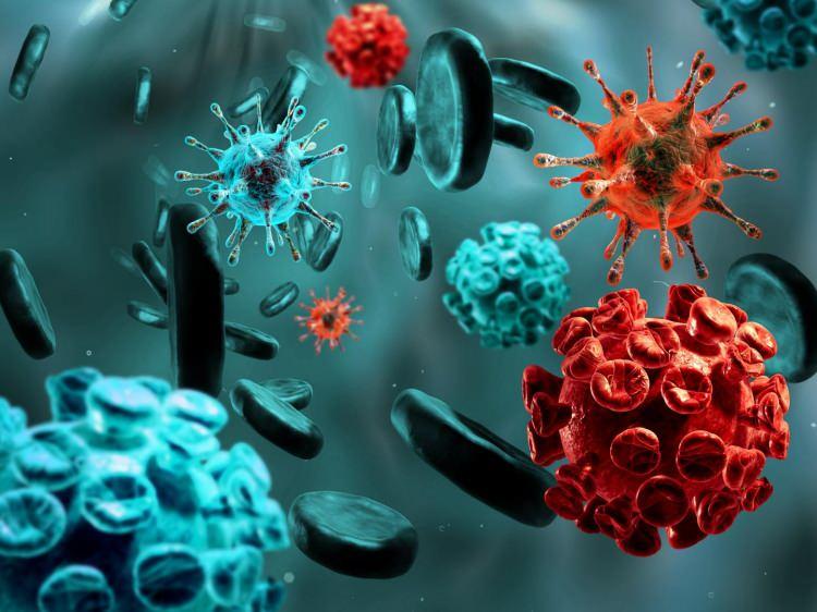 <p><strong>Virüsün Nipah Virüsüyle RNA benzerliği üzerine durulduğu da aktarıldı. Pandemi ya da hızlı bir yayılma için henüz erken olduğu açıklandı. </strong></p>