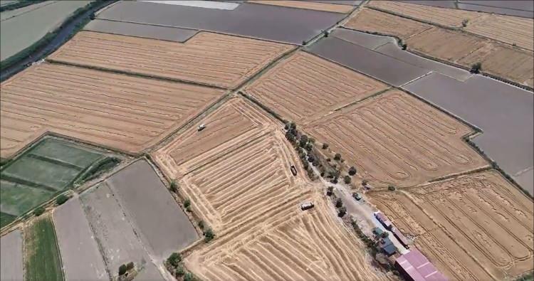 <p>Ayrıca &uuml;niversitemizin akademisyenler tarafından 3 bin 500 ayrı &ccedil;eşidinde geliştirilmesi &ccedil;er&ccedil;evesinde &ccedil;alışmalar devam etmektedir&rdquo; dedi.</p>

<p>&nbsp;</p>
