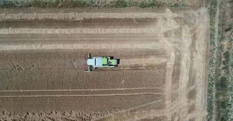 <p><strong>&ldquo;&Ccedil;İFT&Ccedil;İLERİN BEĞENİSİNE SUNACAĞIZ&rdquo;</strong></p>

<p>Bilim ve Teknoloji &Uuml;niversitesi Rekt&ouml;r Yardımcısı Prof. Dr. Tolga Karak&ouml;y, ilerleyen zamanlarda yapılan &ccedil;alışmaları &ccedil;ift&ccedil;ilere sunacaklarından bahsederek, &ldquo;Bu alanda şuanda &ccedil;eşit adaptasyon &ccedil;alışması ve &ccedil;eşit adaylarımızın hasadını yapmaktayız.&nbsp;</p>
