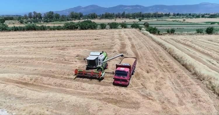 <p>Burada bir firmayla ortak protokollerimiz var. Bu protokoller kapsamında hem onların &ccedil;eşit adaylarını deniyoruz hem de biz her yıl d&uuml;zenli olarak burada buğday, arpa, yulaf geliştirmesine y&ouml;nelik olarak ıslah &ccedil;alışmalarımızı y&uuml;r&uuml;t&uuml;yoruz.&nbsp;</p>
