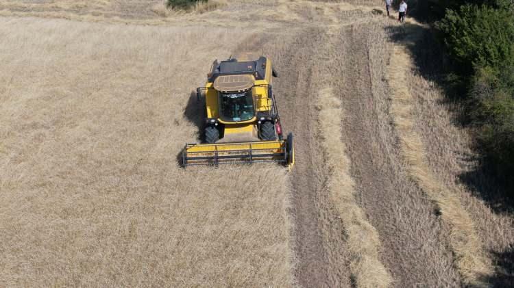 <p>Sivas&rsquo;ta Bilim ve Teknoloji &Uuml;niversitesi Tarım Bilimleri ve Teknoloji Fak&uuml;ltesi olarak ARGE &ccedil;alışmaları bir ilk diyebiliriz.&nbsp;</p>
