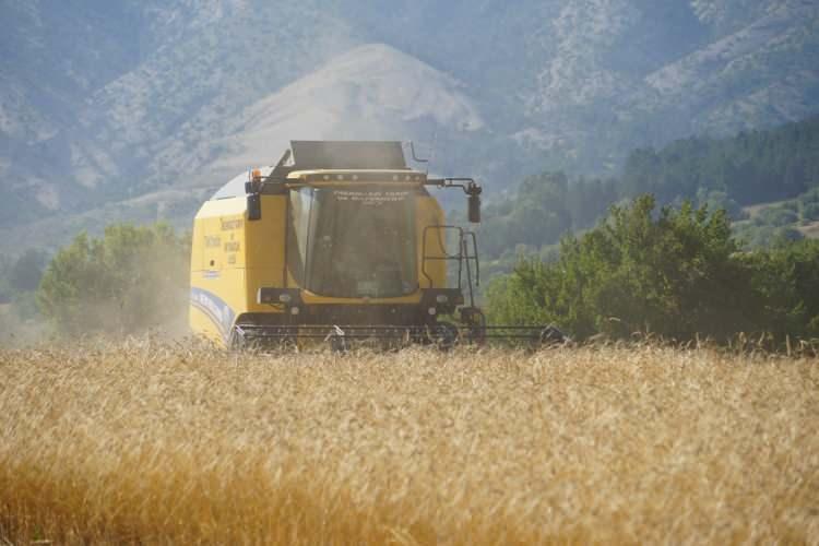 <p>Meteorolojiye uygun olarak biz &ccedil;alışmalarımızı tekrarlamalı ekerek y&uuml;r&uuml;t&uuml;yoruz. Bunlardan aldığımız sonu&ccedil;ları gerek verim gerekse kalite sonu&ccedil;larını daha sağlıklı değerlendirme ve istatiksel olarak bunları anlamlandırma noktasında ifade edebiliyoruz.&nbsp;</p>
