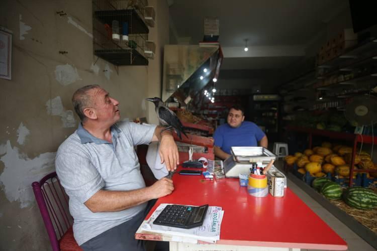 <p>Talşık, bazı müşterilerin yanından ayrılmayan kargayı görünce şaşırdığını ve onunla fotoğraf çektirdiğini söyledi.</p>
<p> </p>