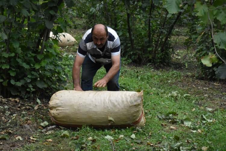 <p>Üreticilerin hem tarım ve orman müdürlüklerinin hem de ziraat odalarının projeleriyle bilgilendirildiğini, bahçede dekar başı verimin arttırılmasına yönelik çalışmalar yapıldığını anlatan Soydan, şöyle devam etti:</p>