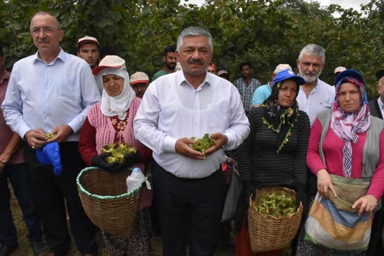 <p>Yeşiltepe, fındığa iyi bir fiyat açıklandığını dile getirerek, güzel bir havada hasadı gerçekleştirerek sezonu tamamlamayı istediklerini aktardı.</p>