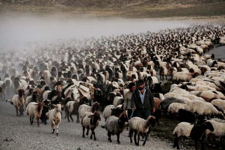 <p>Bu etkinliklerimizden biri de kalderadaki tozlu yolculuğu fotoğraflamaktı. Daha önce Van Gölü kenarında tozlu yolculuk çekimi yapmıştık. Uzun süredir bunun planlamasını yapıyorduk. Bugün de uzun zamandır planladığımız çekimi gerçekleştirme imkanı bulduk. </p>