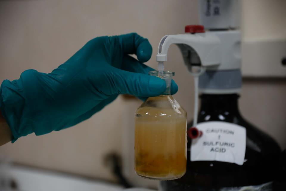 <p>Burada yapamadığımız analizleri ise +4'te ya da -20 derecede dondurup kurumdaki laboratuvarımızda devam ediyoruz. Mevcutta denizin kirlilik göstergeleri çok farklı olabiliyor. Marmara Denizi'nin özelinde bulunmayan bir canlı türü görürsek, mevcut biyolojik kirlilik olarak yeni bir kirliliğin habercisi olmuş oluyor" dedi. </p>