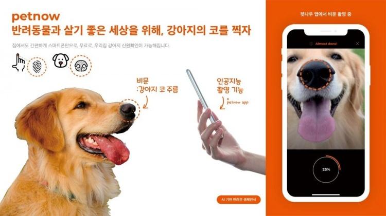 <p> Petnow adlı uygulama, insanları tanımak için parmak izi kullanılmasına benzer bir şekilde gibi, köpekleri tanımak için onların burun izini kullanıyor.</p>