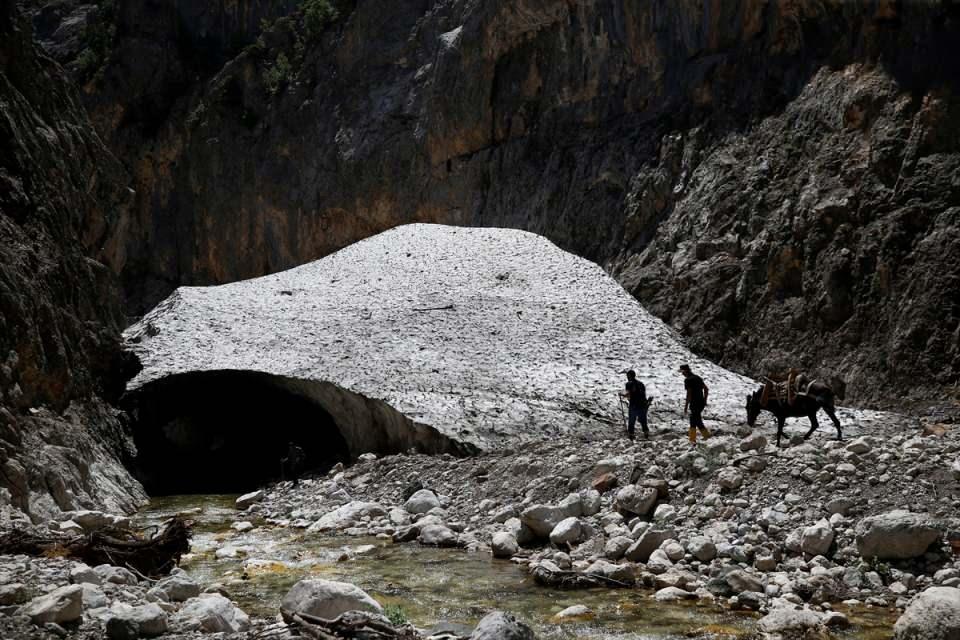 <p>Vadiye girdikten iki gün sonra biz bunları yaralı halde bulduk. Çadıra getirip ısıttık, yemek yedirdik. Bu olaydan bir kaç ay sonra da Kültür ve Turizm Bakanlığından bize teşekkür mektubu geldi." diye konuştu.</p>