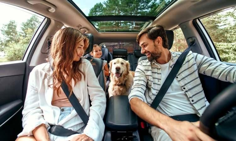 <p>YAPAY ZEKA DESTEKLİ UYGULAMA </p>
<p> </p>
<p>Bununla birlikte Petnow, köpeklerin burun izlerini kaydetmek ve sorgulamak için yapay zeka destekli bir uygulama geliştirdi.</p>