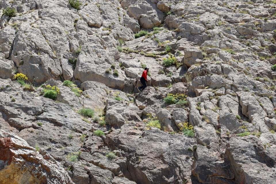 <p>Urartu'nun klasik özelliklerini taşıyor. Kaç odalı olduğunu tespit edemedik ama özellikleri ve görünüşü itibariyle bize Van Kalesi'ndeki tek odalı kaya mezarını andırıyor."</p>

<p> </p>
