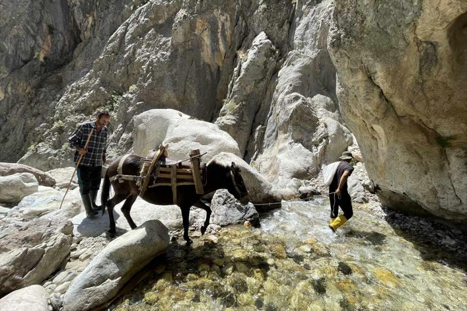 <p>Vadi girişinde kendilerinden yardım isteyen turistlere rehberlik yaptığını belirten Firez, "Kar tünellerini görmek isteyenler bizim çadırın olduğu yere gelir. Biz isteyene çay, ayran ikram ederiz. Karnı aç olanı doyururuz. Biz bunu para karşılığı yapmıyoruz. İnsanlık adına yapıyoruz. Daha sonra tünelleri gezerken bizden yardım isteyen olursa onları da tünele götürüp gezdiririz." dedi.</p>

<p> </p>
