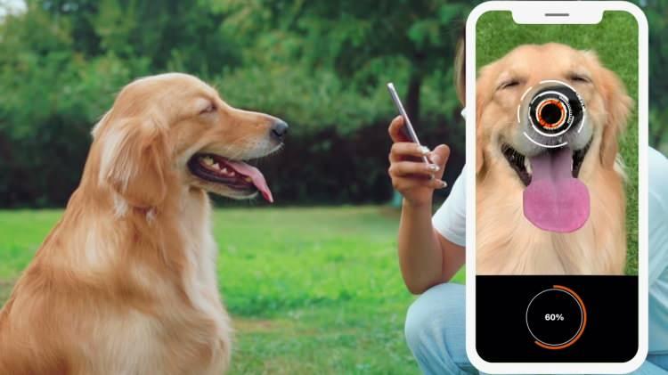 <p>Ardından, başka insanların köpeğin burun izini uygulamada sorgulayarak, hayvanın bulunma şansını artırabileceği kaydedildi.</p>