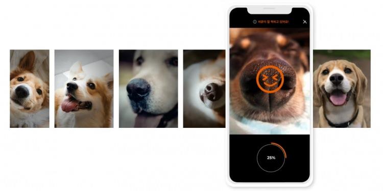 <p>Petnow, burun izi ile köpekleri tanıyan uygulamasının ortalama yüzde 98,97 doğrulukla çalıştığını ve bu teknolojiyle kayıp veya terk edilmiş köpeklerin olmadığı bir dünya inşa etmeyi umduğunu sözlerine ekledi.</p>