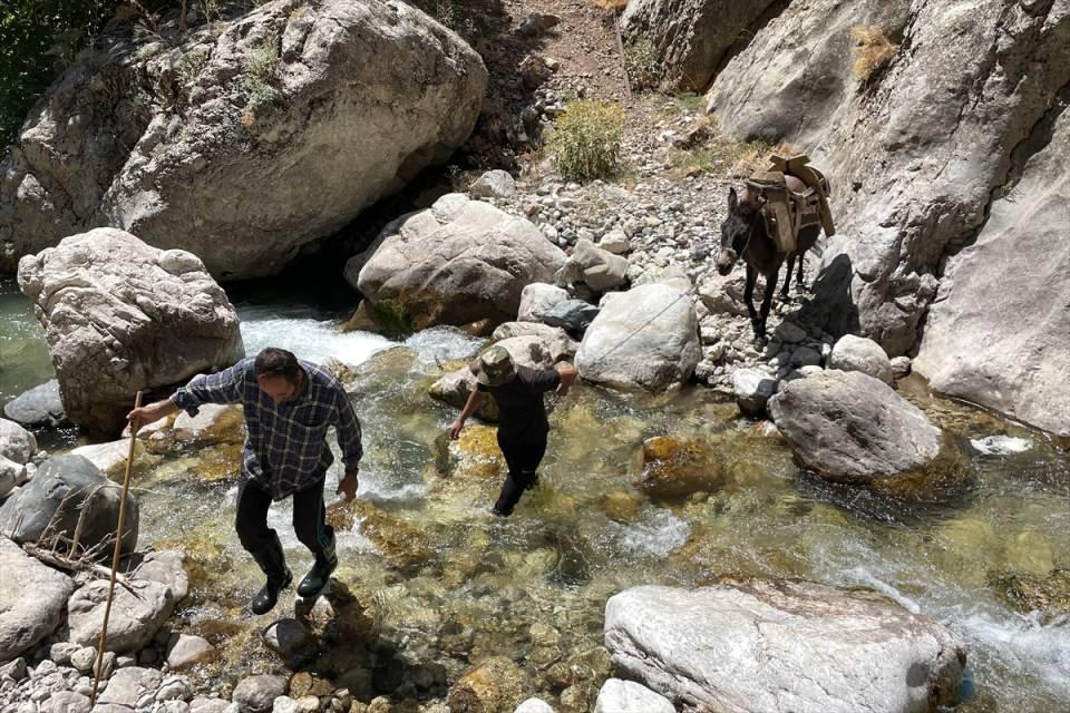 <p>Doğa harikası tünelleri görmek isteyenler Yahyalı ilçesinden yaklaşık 2 saatlik araç yolculuğunun ardından 4 saat süren yürüyüş sonunda bölgeye ulaşıyor.</p>

<p> </p>
