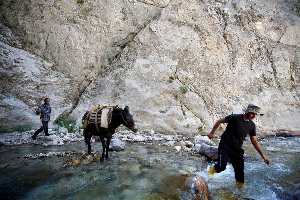 <p>Buraya en çok Ukraynalılar geliyor. Bunun dışında Rusya'dan ve Fransa'dan gelenler oldu. Türkiye'den de Mersin, Antalya, İstanbul, Ankara ve Kayseri'den gelen turistler var."</p>