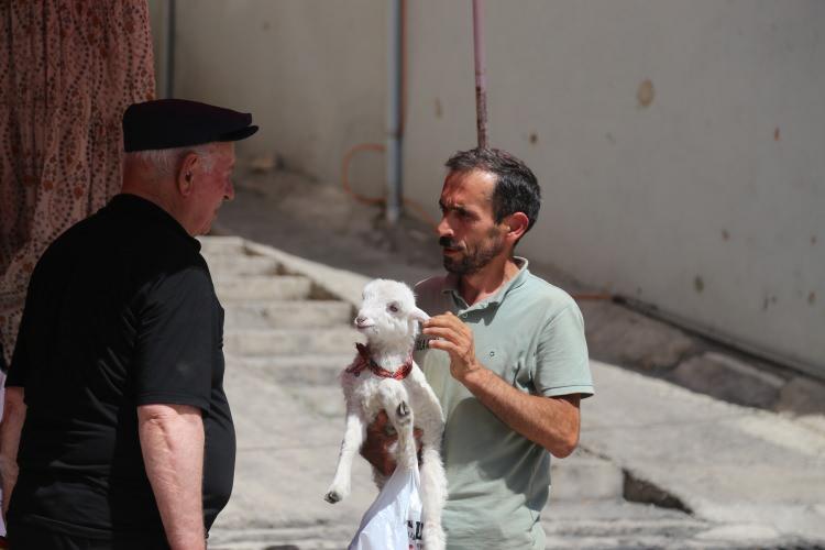 <p>İlçede 30 yıldır esnaflık yapan Halim Tonyalı, bir yaylacının oğluna ayakkabı almak için kendisine sunduğu teklifi kabul ederek 7 günlükken aldığı kuzusu 'Yetim'e evladı gibi bakıyor.</p>

