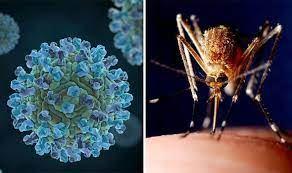 <p>Sivrisineğin ısırdığı andan itibaren kuluçka süresinin 2 ile 14 gün arasında değiştiği, bağışıklığı zayıf olanlarda bu sürenin 21 güne çıktığı belirtiliyor. </p>
