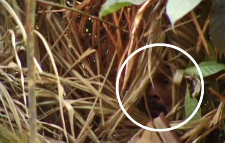 <p>Brezilya'nın yağmur ormanlarında 26 yıldır tek başına yaşayan ve 'dünyanın en yalnız adamı' olarak adlandırılan bir kabile üyesi öldü.</p>

<p>'Deliğin Adamı' olarak bilinen bir Amazon yerlisi Brezilya'da öldü. Söz konusu adam ayrıca, kabilesinin son üyesi ve Brezilya'nın batısındaki Amazon'daki Rondonia eyaletindeki Tanaru Yerli Bölgesi'nin tek sakiniydi.</p>

<p>Fotoğraf:  Corumbiara filminden bir sahne, Vincent Carrel</p>

<p> </p>
