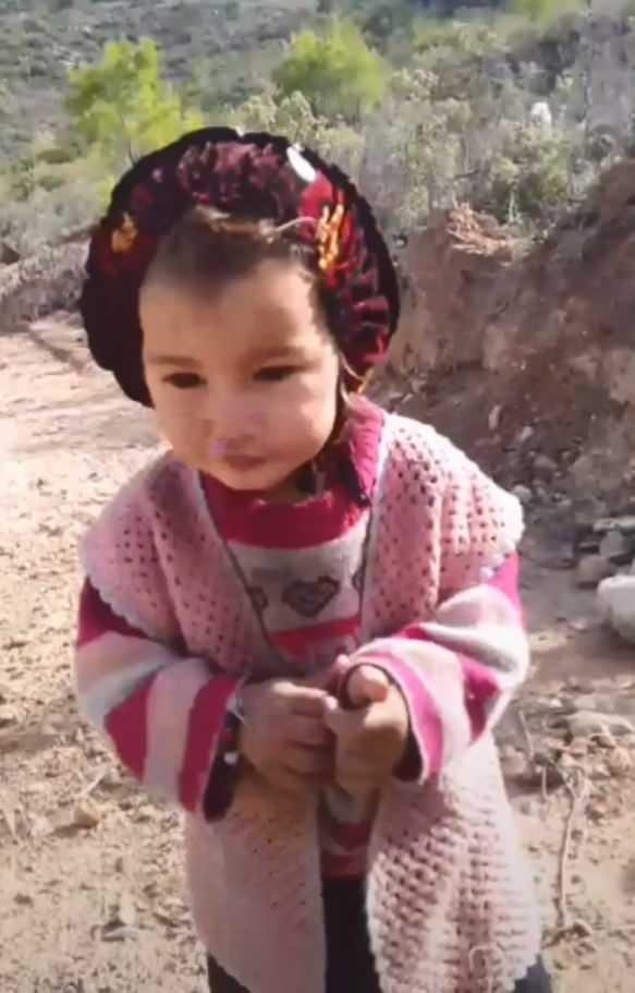 <p>Gözaltında ve karakolda 3 gece geçiren şüpheliler, işlemlerinin ardından 22 Kasım'da adliyeye sevk edildi. Mahkemeye çıkarılan şüphelilerden dede Hasan Yağal tutuklandı, 7 aile üyesi ise savcılık tarafından serbest bırakıldı. Silifke Cumhuriyet Başsavcılığı'nın olayla ilgili yürüttüğü soruşturmada iddianame hazırlandı.</p>
