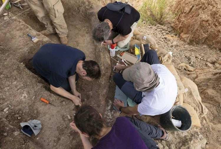 <p>İsrail Eski Eserler Kurumu (IAA) dün yaptığı açıklamada, İsrail'in güney kıyı ovasında 500 bin yıllık bir fil dişinin keşfedildiğini duyurdu.</p>
