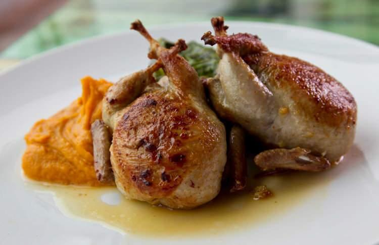 <p><strong>* Vir&uuml;s ve enfeksiyonlar nedeniyle hasar alan solunum sinir sistemlerindeki h&uuml;creleri g&uuml;&ccedil;lendirir. Hasarı en aza indirir. İyileşme s&uuml;resini hızlandırır.</strong></p>
