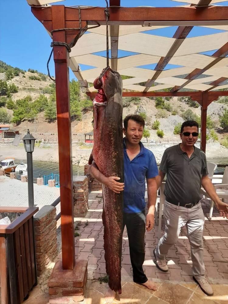 <p>Çorum'daki Obruk Baraj Gölü'ne açılan iki arkadaş, 50 kiloluk yayın balığı yakaladı.</p>
