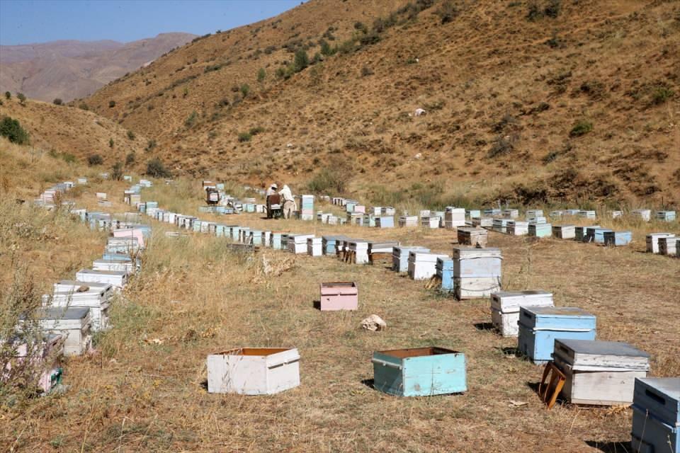 <p>Avcil, Bitlis'in bitki yapısı, yayla ve mera potansiyelinin arıcılık için elverişli olduğunu dile getirerek, imkan verilmesi durumunda arıcıların uluslararası platformlarda daha iyi dereceler alacağına inandığını vurguladı.</p>

<p> </p>
