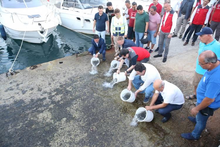 <p>Kendisinin Muğlalı olduğunu bu nedenle de bölgeyi karış karış bildiğini anlatan Saylak, "Ben ve teşkilatım bu denizlerin temiz ve bereketli kalması, sürdürülebilir su ürünleri avcılığı ve gelecek kuşaklara aynı şekilde teslim edebilmek için gerçekten müthiş bir çalışma içerisindeyiz. Sahillerde temizlik yapmayı ilke edindik, yerine getiriyoruz." dedi.</p>
<p> </p>