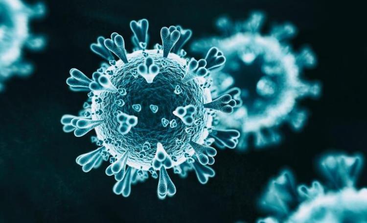 <p><strong>DSÖ VE EMA TAKİP EDİYOR</strong></p>
<p>Diğer taraftan, Batı'daki uzmanlar, salgının Covid-19’un ortaya çıkışıyla benzerliklerine rağmen alarm zilini çalmaya başlamak için çok erken olduğunu söyledi. </p>