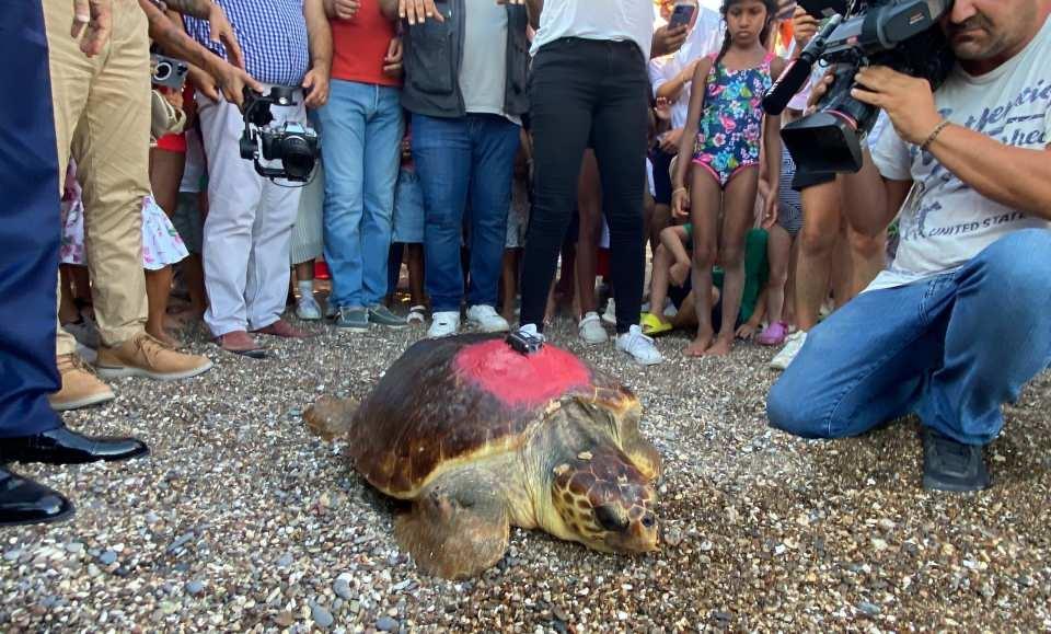 <div>20 Temmuz’da 1,5 yıl aradan sonra denizle tekrar buluşan “Lara Barış”, Mersin Anamur açıklarına kadar gittikten sonra geri dönerek yine Antalya açıklarından bu kez Kıbrıs'a doğru yüzdü. 49 günde 600 kilometre yol kat eden “Lara Barış”, tekrar Antalya’ya doğru dönüşe geçti.</div>

<div> </div>

<div> </div>
