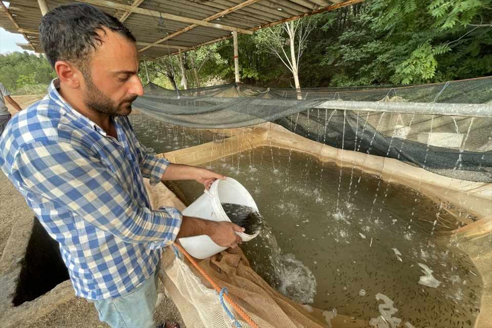 <p>Keban'daki üretim tesisimiz bu anlamda bölgedeki su kaynaklarının balıkçılık konusunda ana sponsoru olacak inşallah."</p>

<p> </p>
