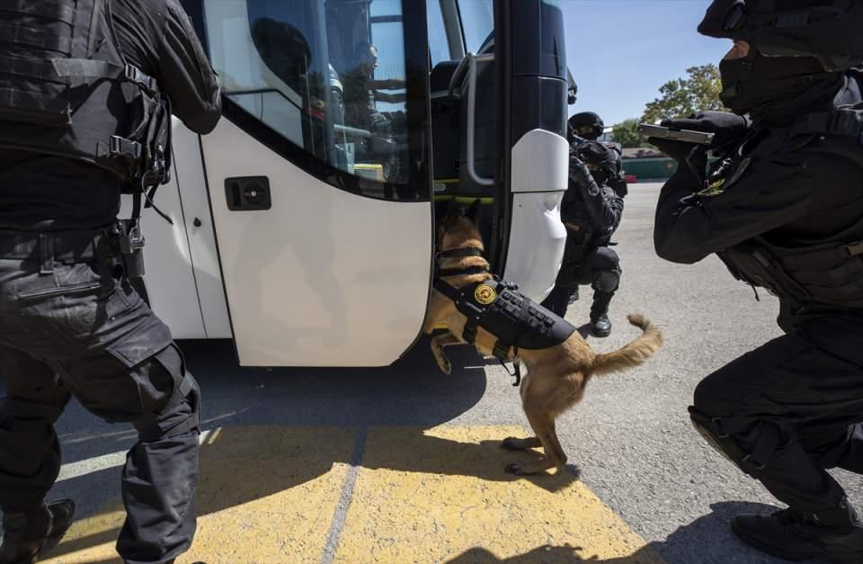 <p><strong>- En hareketli anlar köpeklerin vücuduna yerleştirilen kameralara yansıdı</strong></p>

<p>Hazırlanan senaryolar gereği gerçekleştirilen eğitimler, Anadolu Ajansı tarafından görüntülendi.</p>

<p> </p>
