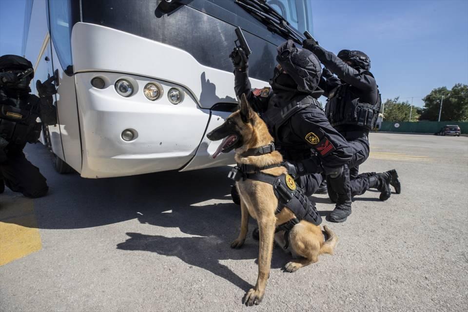 <p>Operasyon köpekleri, meskun mahallerdeki boş evlerde saklanan teröristlerin tespit edilmesi, mağara operasyonları, kara ve deniz araçlarına yönelik çalışmalar ile rehine kurtarma faaliyetlerinde suçluların korkulu rüyası oluyor.</p>
<p> </p>