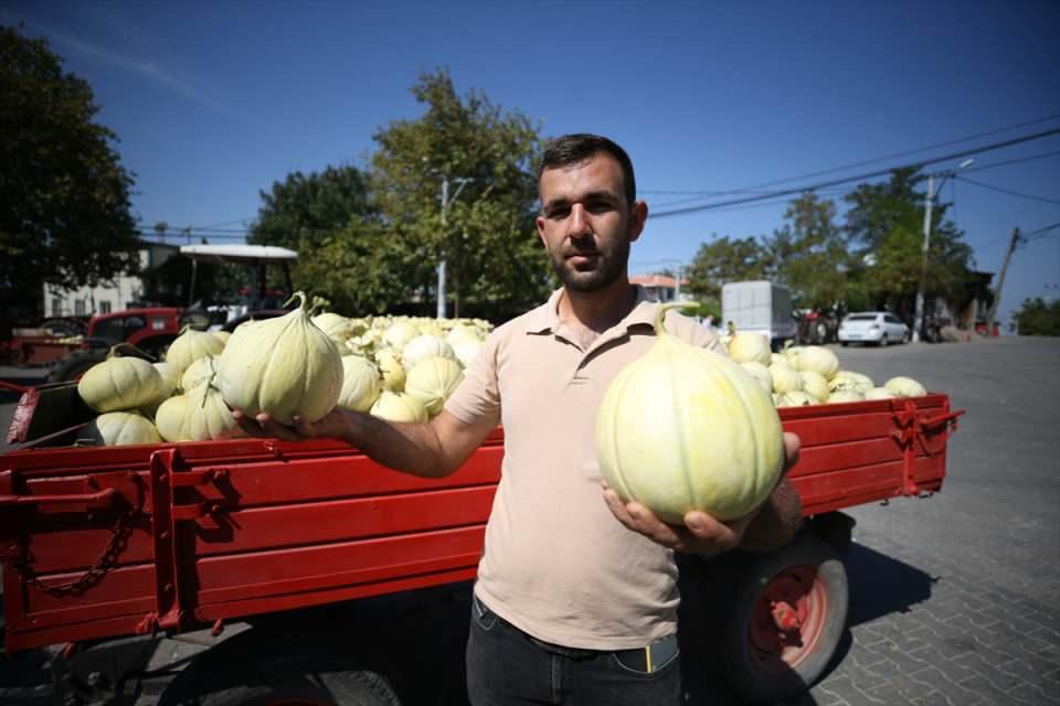 <p>Bandırma Ziraat Odası Başkanı Süleyman Dönmez, AA muhabirine, Yeşilçomlu kavununun bölgenin önemli bir mahsulü olduğunu söyledi.</p>

<p> </p>
