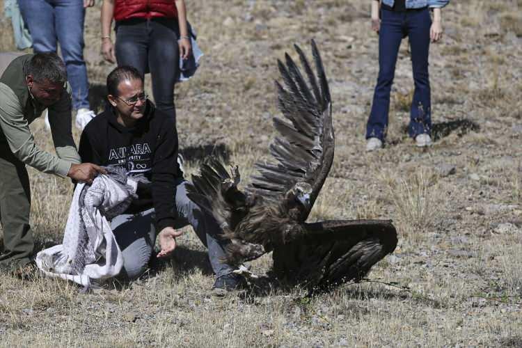 <p>Yılda yaklaşık bin hayvanı tedavi ettiklerini belirten Yarsan, cerrahi müdahale ve sonrasında rehabilitasyon hizmetiyle tedavisi tamamlanan hayvanları doğaya saldıklarını bildirdi.</p>
<p> </p>