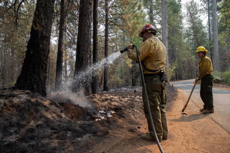 <p>California eyaletinin kuzeyindeki Placer kasabasına bağlı Oxbow Havzası'na giden Mosquito yolunda 6 Eylül’de başlayan yangın devam ediyor.</p>
