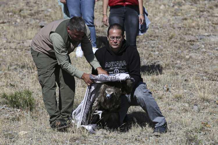 <p>Türkiye'de 200 civarında eş bulunduğunun tahmin edildiğini belirten Ünüvar, Tarım ve Orman Bakanlığı ile fakülte arasındaki protokol kapsamında kara akbabanın iki ay önce hayvan hastanesinde tedaviye alındığını anlattı.</p>

<p> </p>
