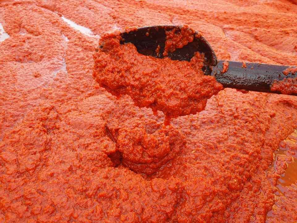 <p>Eylül ve ekimde yoğun bir şekilde salça çekimi yapıyoruz. Salça çekimi kasım ayının ortasına kadar sürüyor. Salça 20-25 günde kullanılacak kıvama geliyor. Güzel kokuyor, yemeğe lezzet veriyor, biz bu şekilde seviyoruz."</p>