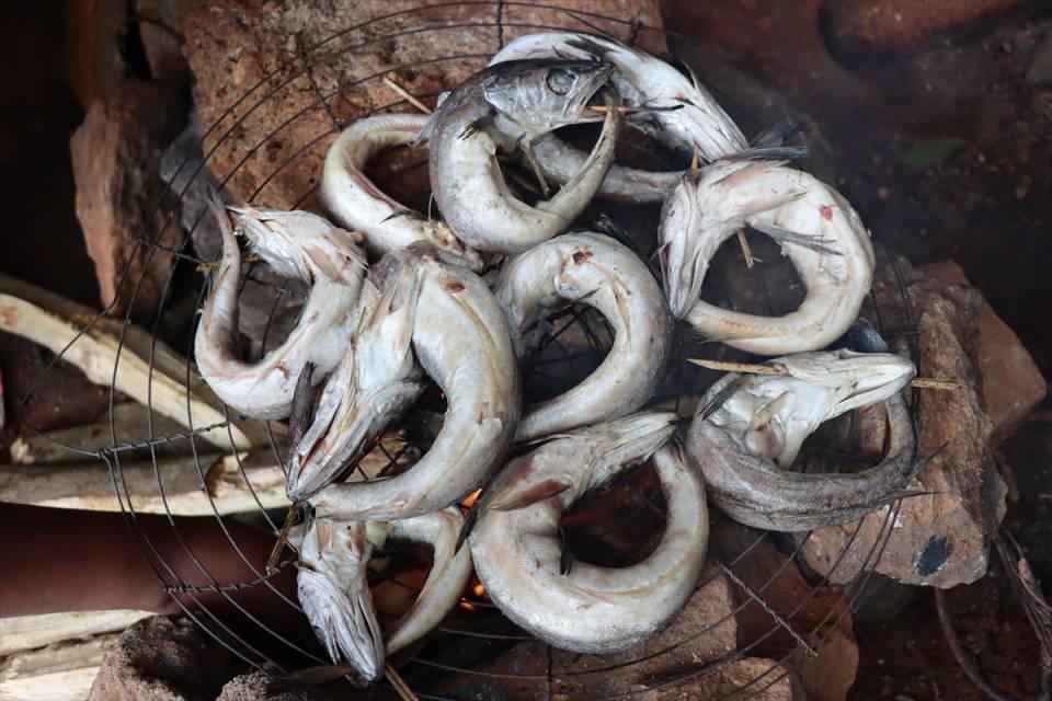 <p>Kamerun’da dondurulmuş balığın alternatifi "isli balık” buzdolabına ihtiyaç duymadan 6 ay muhafaza edilebilmesi nedeniyle daha fazla tercih ediliyor.</p>

<p>Büyük şehirlerinde sık sık elektrik kesintilerinin yaşandığı ve kırsal bölgelerde hiç elektriğini olmadığı Kamerun’da, balıkları muhafaza etmek için dondurucuya ihtiyaç duyulmuyor.</p>

<p> </p>
