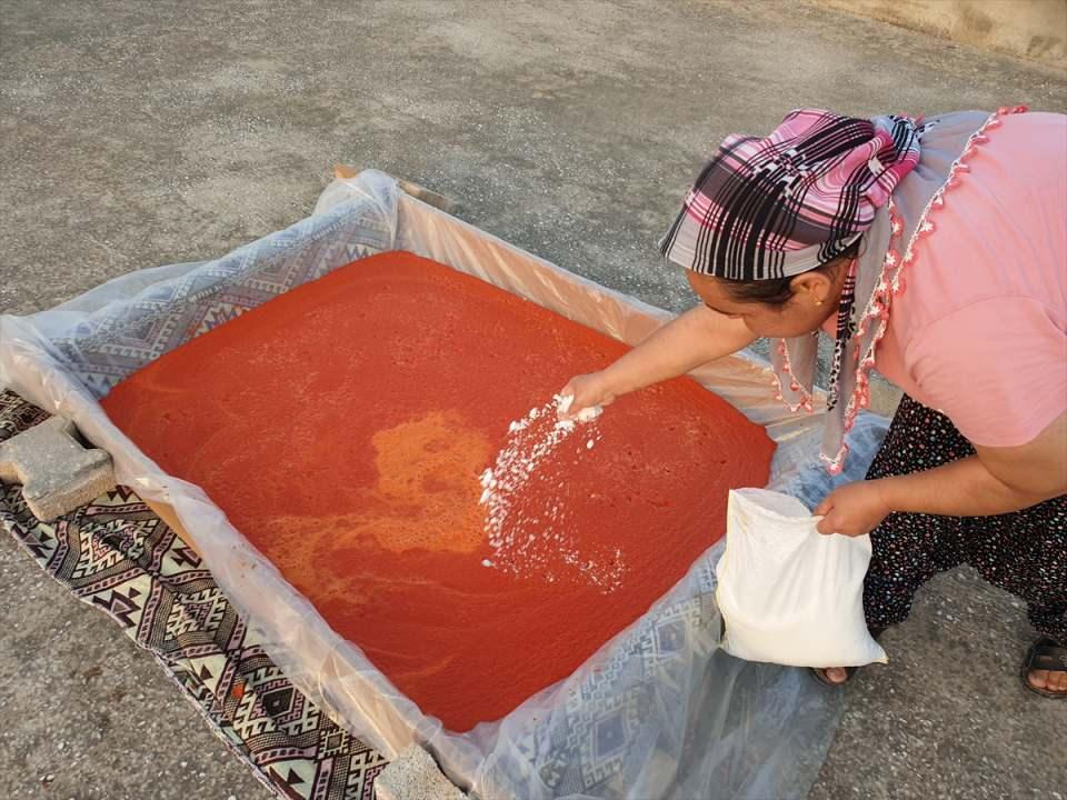 <p>Biberi çektirdikten sonra 15-20 gün kurumasını beklediklerini aktaran Çatalbaş, "Bir yıl boyunca yemeklerimize ayrı bir lezzet katan salçayı kullanıyoruz. Fazla salçayı da satıp ev ekonomisine katkıda bulunuyoruz." ifadesini kullandı.</p>

<p> </p>
