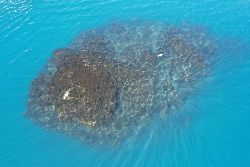 <p>Van Gölü'nün Altınsaç bölgesinde Su Altı Görüntü Yönetmeni Tahsin Ceylan tarafından 32,2 metre uzunluğunda mikrobiyalit görüntülendi.</p>
<p> </p>
