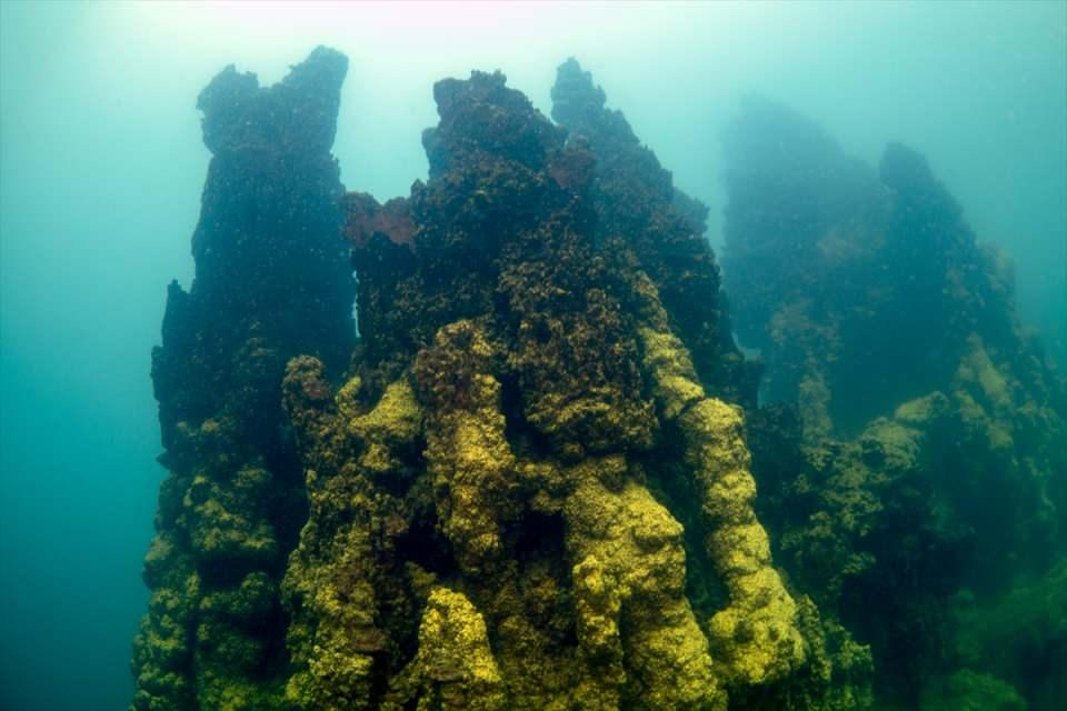 <p> Van Büyükşehir Belediyesi İtfaiye Dairesi Başkanlığı dalgıçlarının eğitim dalışları sırasında rastlanılan mikrobiyaliti, Van Diving Edremit Dalış Okulu eğitmenleri ile Van Büyükşehir Belediyesi Genel Sekreteri Fatih Çelikel ile görüntüleyerek tarihe bir iz düştük. Yüzeyde 23 derece olan su sıcaklığı dipte 6 derece olarak bilgisayarımıza kayıtlandı."</p>
<p> </p>