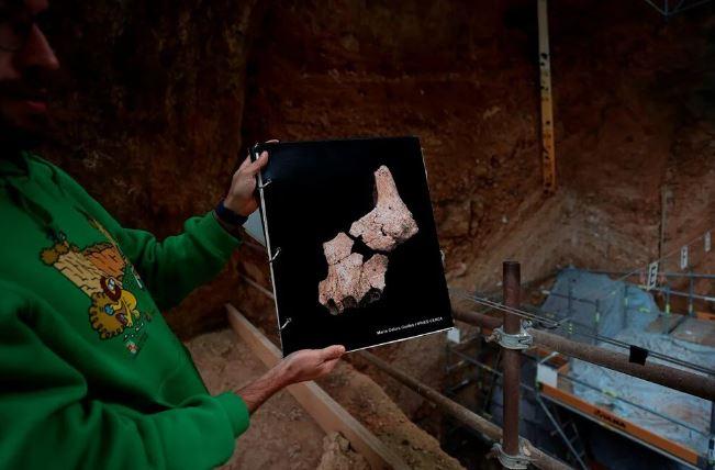 <p>Atapuerca’da 30 Haziran’da bulunan ilk insan türüne ait yüz parçalarının araştırılmasına devam edilse de bilim insanları bu fosillerin en az 1 milyon 400 bin yıllık olduğu ve Avrupa kıtasında şimdiye kadar ortaya çıkarılan en eski insan fosili olduğunu belirtiyor.</p>
